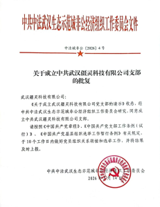 筑牢红色根基 凝聚奋进力量 —— 热烈祝贺武汉疆灵科技党支部成立